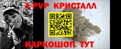 стаф Нальчик