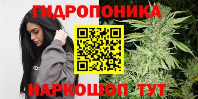 стаф Нальчик